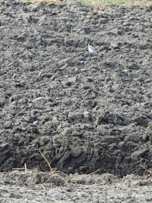 20210326_150808.jpg 20210326_150808.jpg