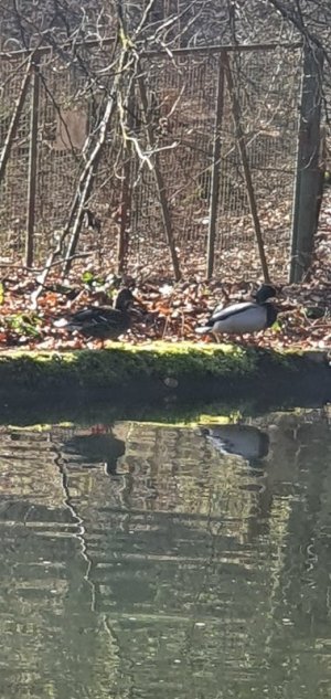 20210324_092413.jpg 20210324_092413.jpg