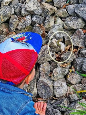 Diego+Eidechse Kopie4.jpg Diego+Eidechse Kopie4.jpg