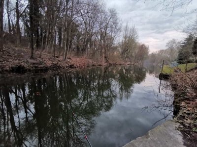 IMG-20210327-WA0001.jpg IMG-20210327-WA0001.jpg