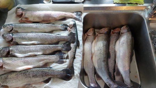 IMG-20210327-WA0006.jpeg IMG-20210327-WA0006.jpeg