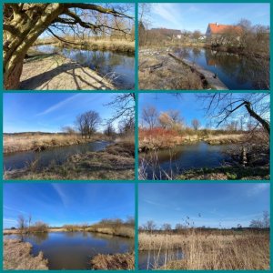 IMG-20210328-WA0011.jpg IMG-20210328-WA0011.jpg