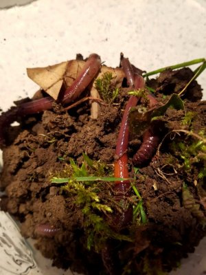 20210328_234605.jpg 20210328_234605.jpg