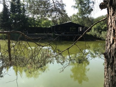 1617211987685.jpeg 1617211987685.jpeg