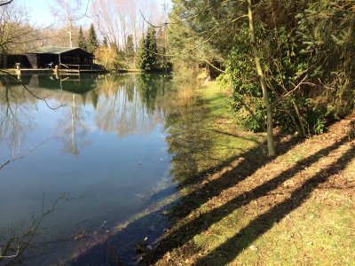 1617212118071.jpeg 1617212118071.jpeg