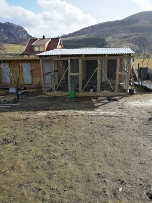 IMG_20210324_140505 (1).jpg