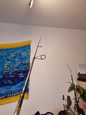 20210402_073118.jpg