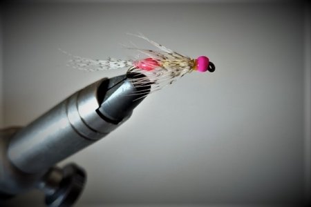 1618646996414 (2).jpg