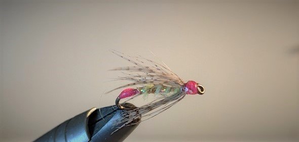 1618648686748 (3).jpg