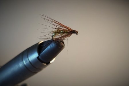 1618648819096 (2).jpg