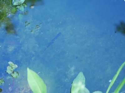 P1000468.JPG P1000468.JPG