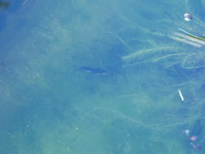 P1000506.JPG P1000506.JPG