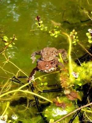 IMG_20210423_161241.jpg IMG_20210423_161241.jpg