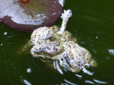 P1010319.JPG P1010319.JPG