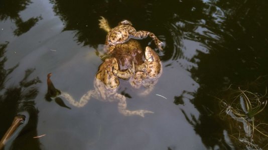 DSC_0012.jpg DSC_0012.jpg