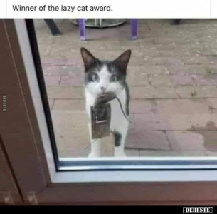 175345016_309545587190402_3772847149634730491_n.png 175345016_309545587190402_3772847149634730491_n.png