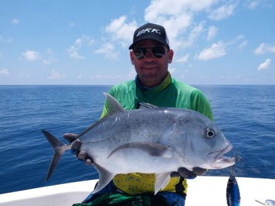 IMG-20210429-WA0001.jpg IMG-20210429-WA0001.jpg