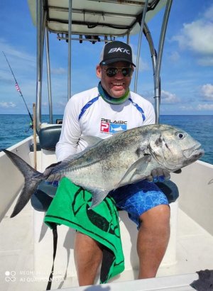 IMG-20210429-WA0006.jpg IMG-20210429-WA0006.jpg