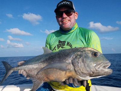 IMG-20210429-WA0007.jpg IMG-20210429-WA0007.jpg