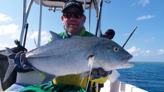 IMG-20210429-WA0008.jpg IMG-20210429-WA0008.jpg