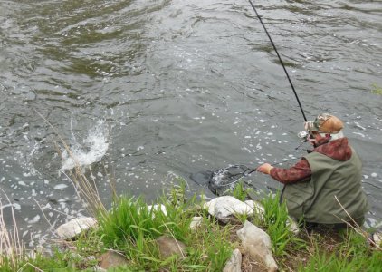 DSCN7850.JPG DSCN7850.JPG