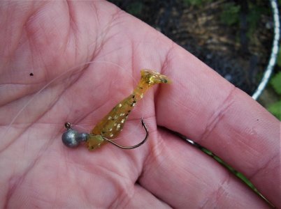 DSCN7871.JPG DSCN7871.JPG