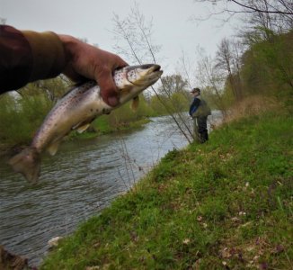 DSCN7881.JPG DSCN7881.JPG