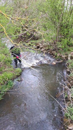 20210506_110034.jpg 20210506_110034.jpg