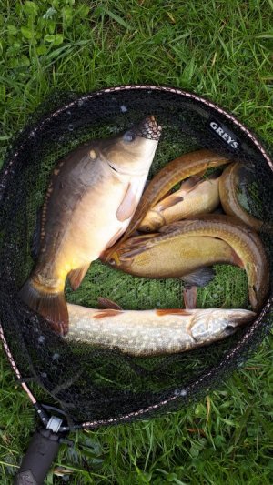 20210506_115358.jpg 20210506_115358.jpg