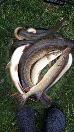 20210506_134301.jpg 20210506_134301.jpg