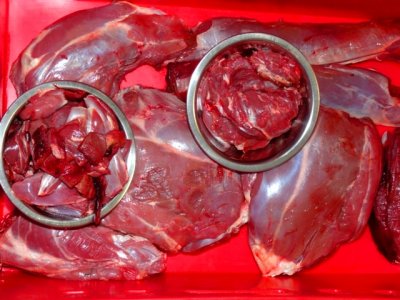 Tica Team ST 12 N 001.JPG