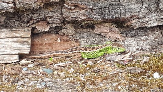 20210428_163737.jpg 20210428_163737.jpg