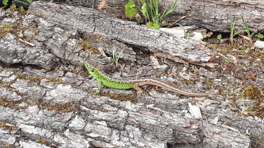 20210428_163716.jpg 20210428_163716.jpg