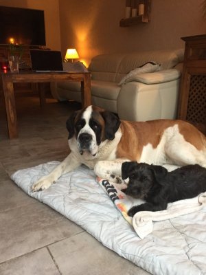 207601B1-D6F3-4B7C-A0F7-152AD7950108.jpeg 207601B1-D6F3-4B7C-A0F7-152AD7950108.jpeg