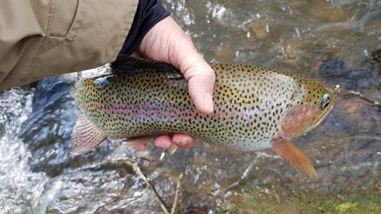 20210507_165116.jpg 20210507_165116.jpg