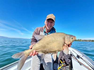 IMG-20210508-WA0003.jpg IMG-20210508-WA0003.jpg