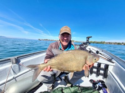 IMG-20210508-WA0000.jpg IMG-20210508-WA0000.jpg