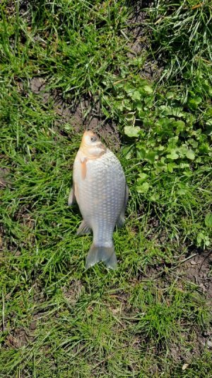 20210508_100928.jpg 20210508_100928.jpg