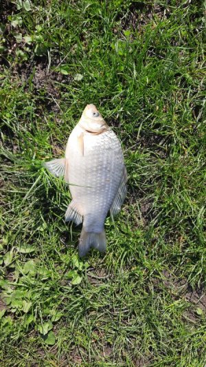 20210508_094638.jpg 20210508_094638.jpg