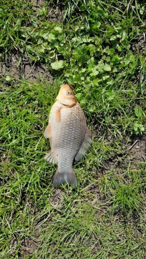 20210508_095943 (1).jpg 20210508_095943 (1).jpg