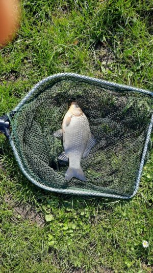 20210508_092142.jpg 20210508_092142.jpg