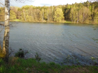 DSCN7883-N (1).JPG DSCN7883-N (1).JPG