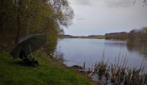 DSCN7883-N (2).JPG DSCN7883-N (2).JPG