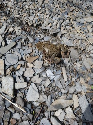 20210508_124947.jpg 20210508_124947.jpg