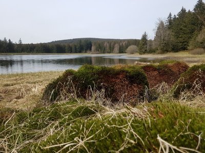 20210508_160548.jpg 20210508_160548.jpg