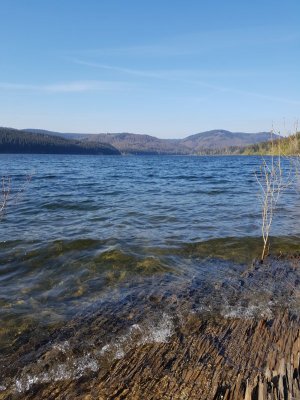 20210508_083937.jpg 20210508_083937.jpg