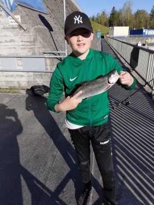 20210509_081154.jpg 20210509_081154.jpg