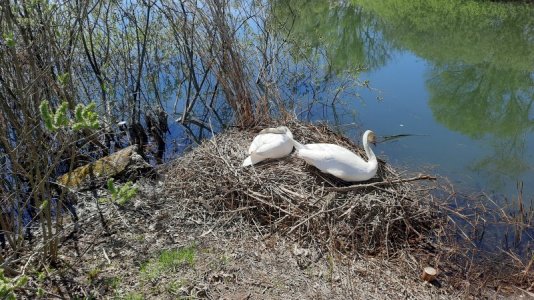 20210509_113915.jpg 20210509_113915.jpg