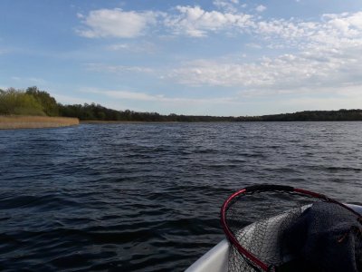 20210509_175310.jpg 20210509_175310.jpg