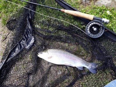 20210509_113529.jpg 20210509_113529.jpg